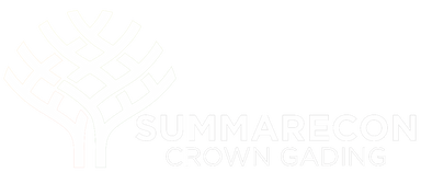 Developer Name
